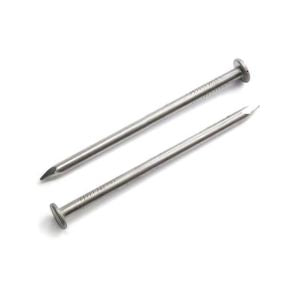 Common Wire Nails