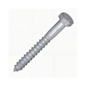 Coach Screw - UAE